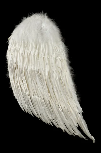 Křídla anděl Stock Snímky
