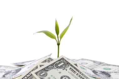 Money growth concept clipart