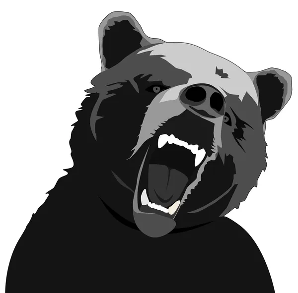 Angry bear — Stock Vector