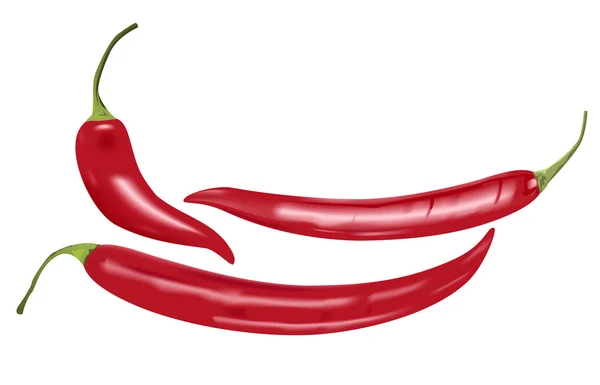 Papryka chili — Wektor stockowy