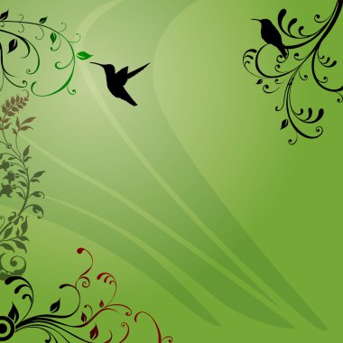 Colibri clipart