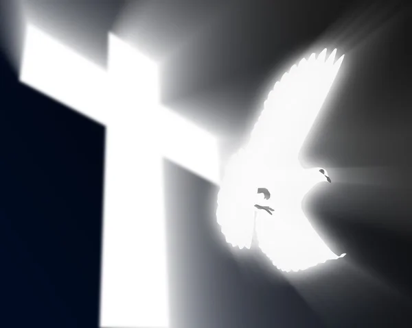 Taube des Heiligen Geistes — Stockfoto