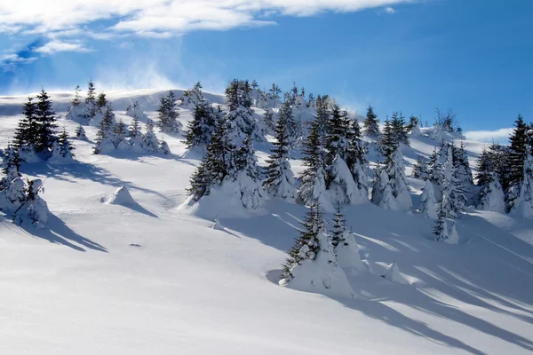 stock image Snowy hill-side