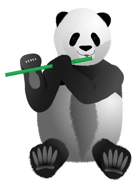Panda Musical — Vetor de Stock