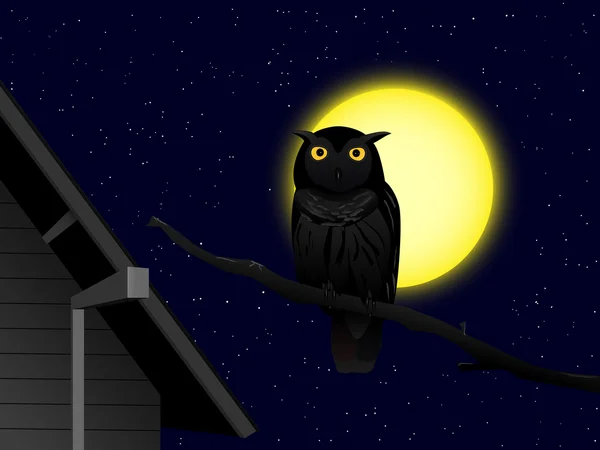 Owl in the night — Stock Vector