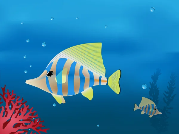 熱帯魚 — ストックベクタ