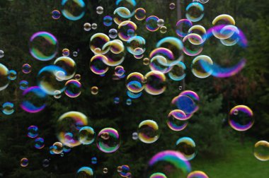 Soap bubbles clipart