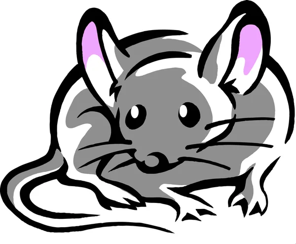 Myš s velké růžové uši — Stockový vektor