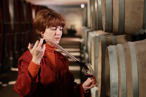 Tasting wine in the winery — Stock Photo, Image