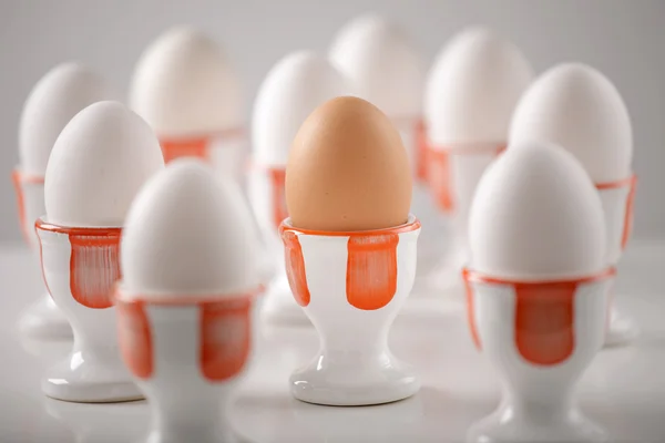 갈색 계란 컵에 — 스톡 사진