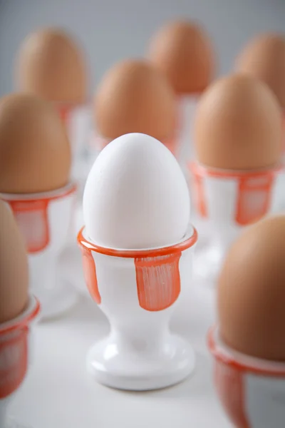 Brown egg in cups — Stock Photo, Image