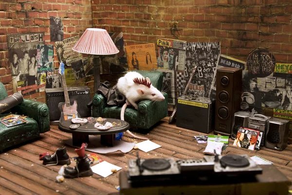 punk fare için Oda