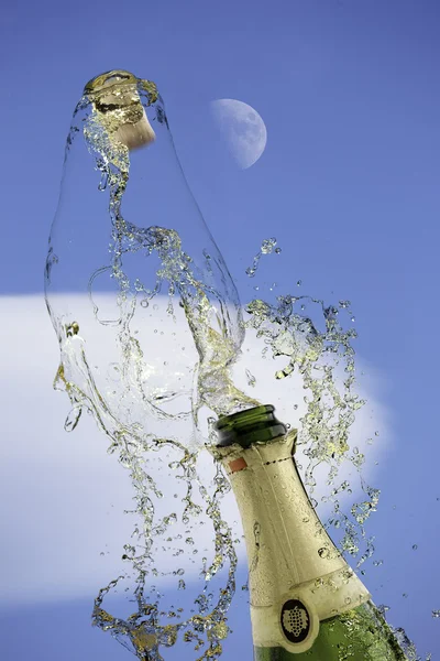Champagne — Stock Photo, Image