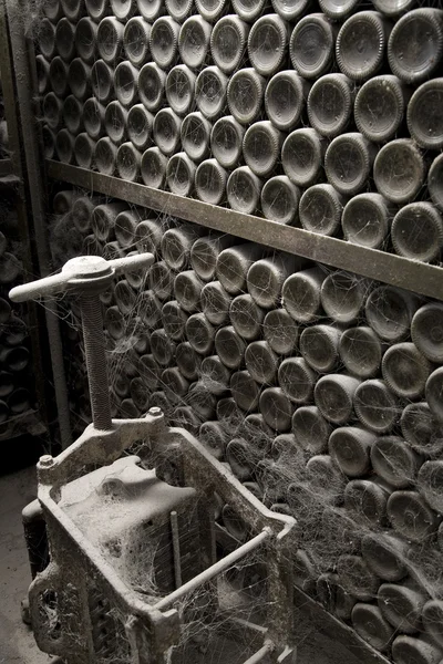 Бутылки вина в ряд в винном погребе с пылью — стоковое фото