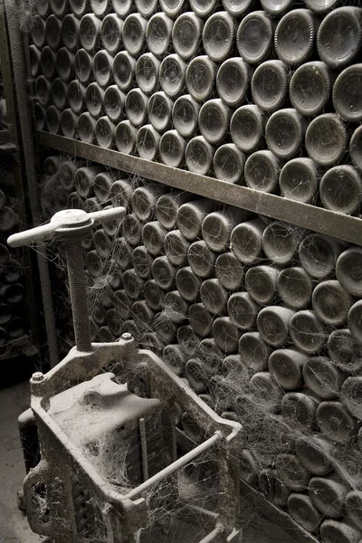 stock image Bottles of wine in rows in wine cellar with dust