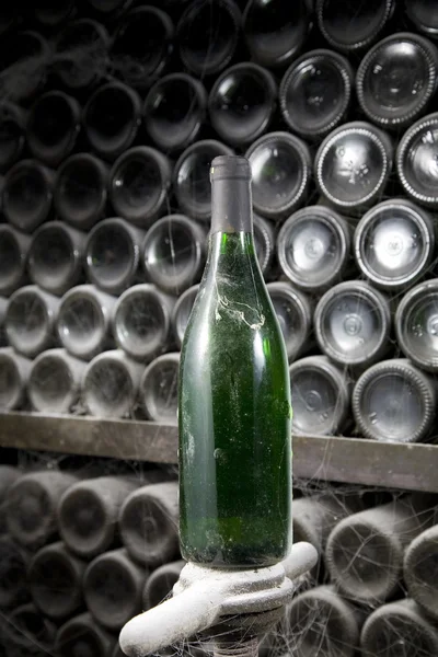 Bottles of wine in rows in wine cellar with dust — Stock Photo, Image