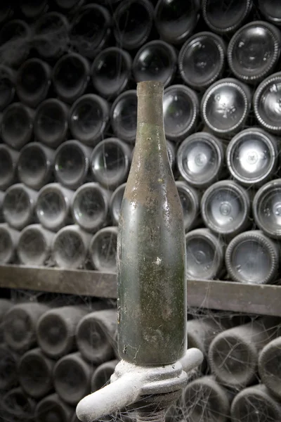 Flessen wijn in rijen in de wijnkelder met stof — Stockfoto