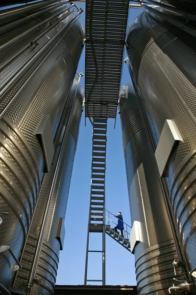 Şarap için paslanmaz çelik su depoları — Stok fotoğraf