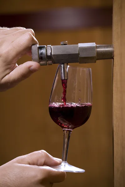 Мужчина в винодельне, наливающий вино в бокал. — стоковое фото