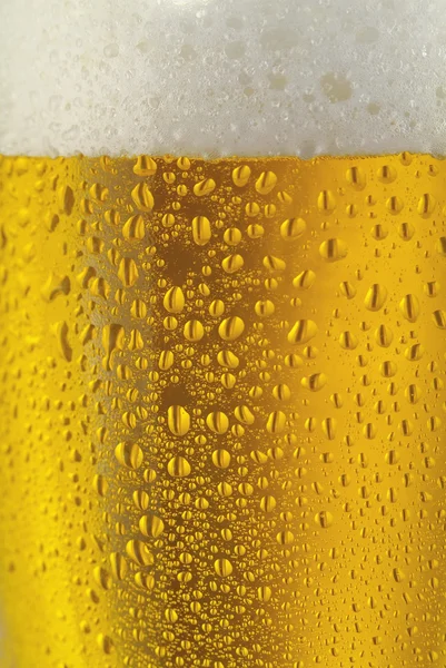 pils bira yoğunlaştırılmış su ve köpük bardak taze inciler