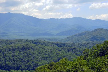 Great Smoky Mountians clipart