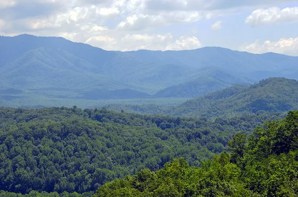 Great Smoky Mountians