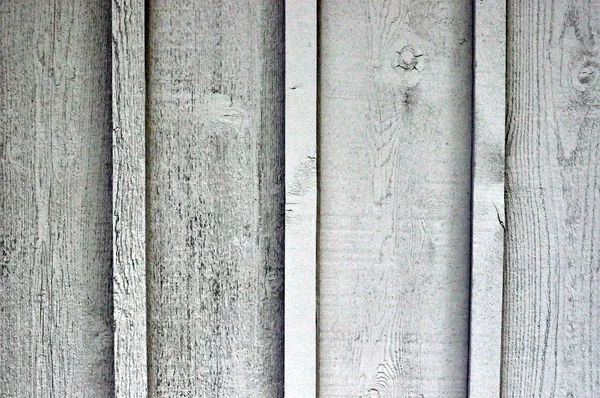 Textura. madeira  . — Fotografia de Stock