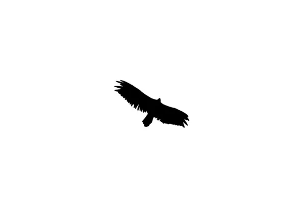 Знак орла — стоковое фото