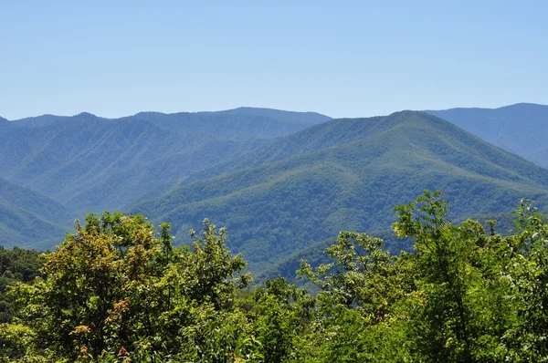 View of the "Great Smoky Mountain" — Stock Photo, Image