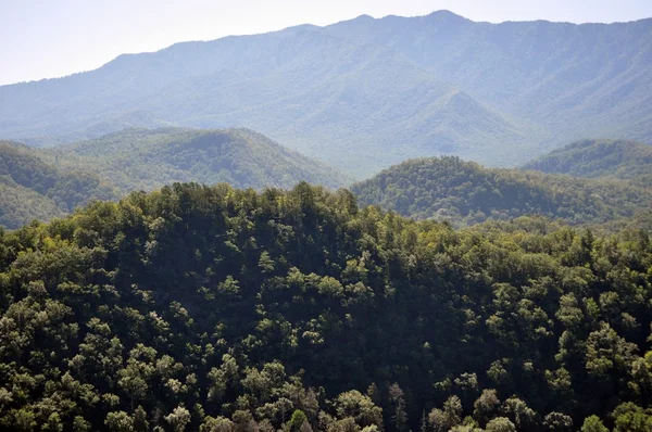 Vista do "Great Smoky Mountain " — Fotografia de Stock