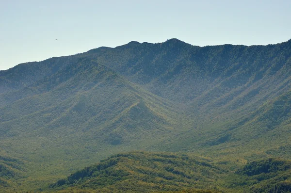 Widok na "great smoky mountains" — Zdjęcie stockowe