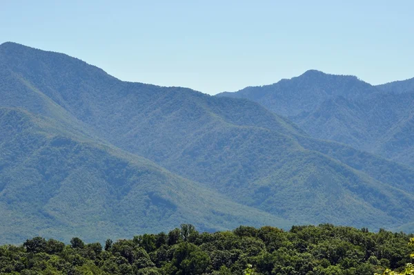 Vista do "Great Smoky Mountains " — Fotografia de Stock