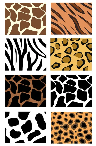 Illustration of animal skin textures, background patterns — Stock Photo, Image