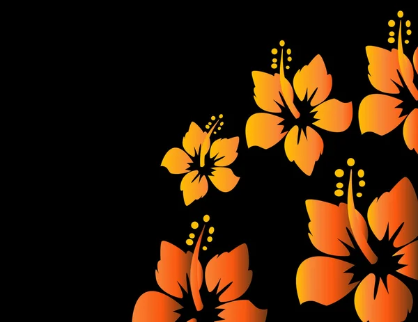 Coloridas flores de primavera ilustración —  Fotos de Stock