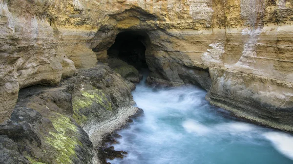 stock image Blow hole