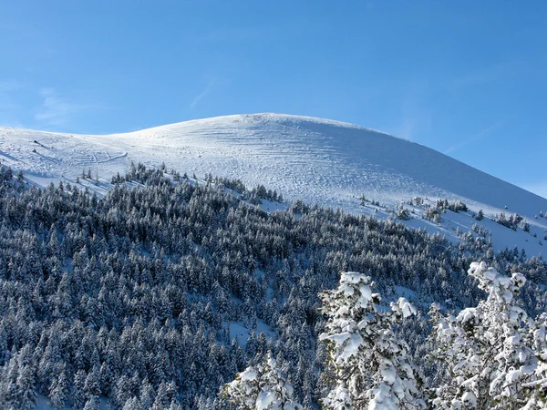 Pirinéus da montanha de neve — Fotografia de Stock