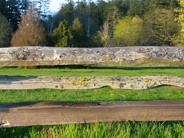 Παλιός ξύλινος φράχτης — Φωτογραφία Αρχείου