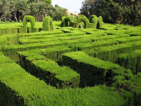 Hedge maze — Stock Photo, Image