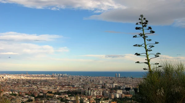 Барселона, вид с холмов — стоковое фото