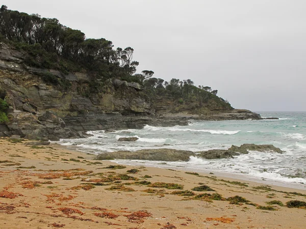 Playa salvaje en Australia — Foto de Stock