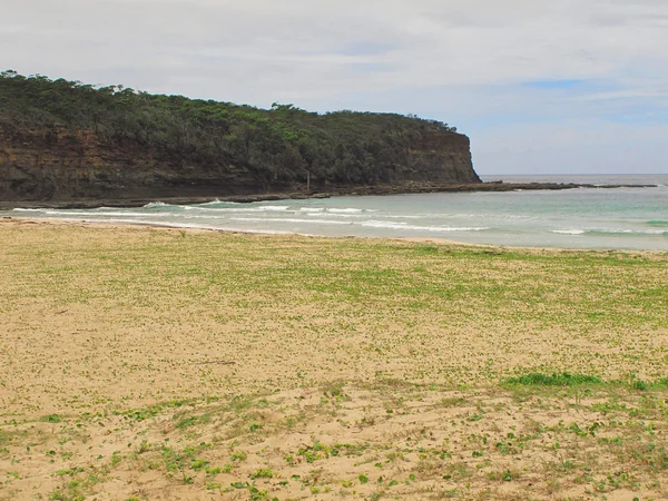 Natural beach in australia — Stock Photo, Image