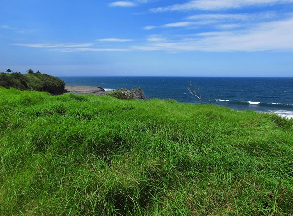 Grünes Gras und blauer Ozean — Stockfoto