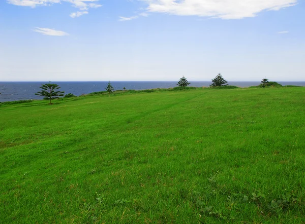 Grönt gräs och blå havet — Stockfoto