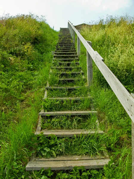 木楼梯 — 图库照片