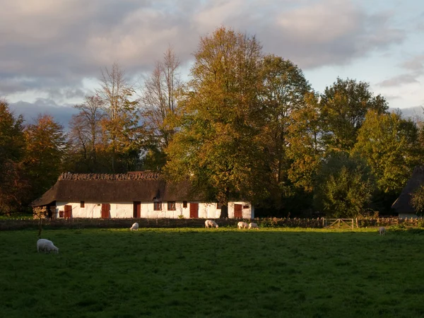 Maison de ferme traditionnelle — Photo