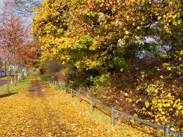 Herbst street view — Stockfoto