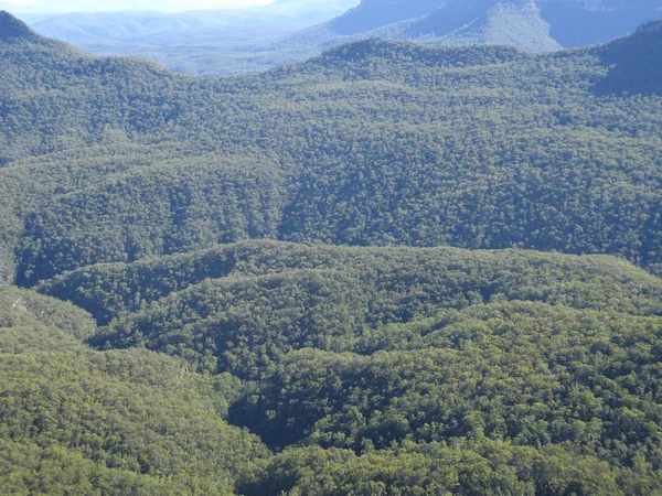 숲과 언덕 호주에서 — 스톡 사진