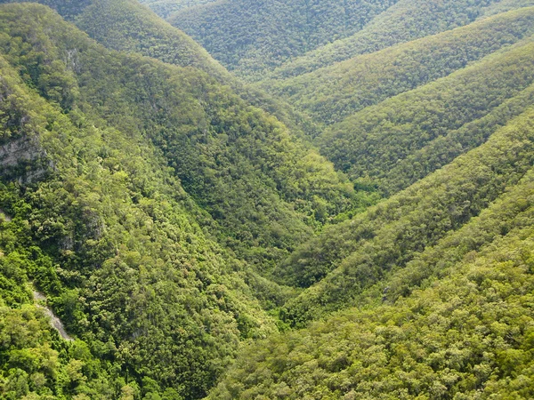 Bosque y colinas en Australia — Foto de Stock