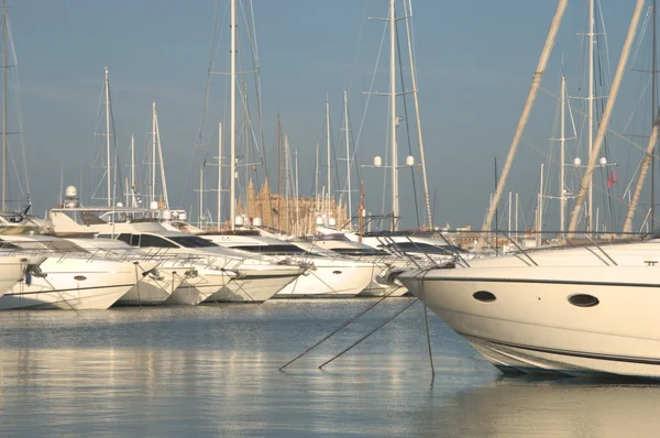 Stock image Yachts in Palma de Majorca