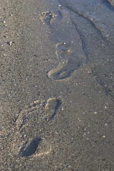 stock image The Trace on sand